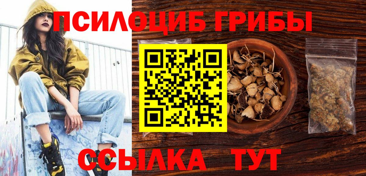 Псилоцибиновые грибы MAGIC MUSHROOMS  Вход с VPN  Тихорецк 
